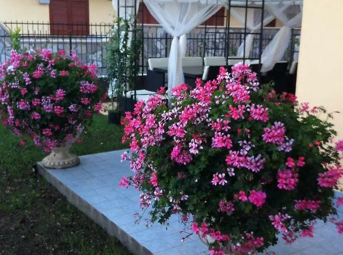 Dei Cedri Panzió Scalea