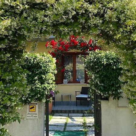 Dei Cedri Bed & Breakfast Scalea
