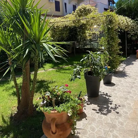 Bed & Breakfast Dei Cedri Scalea