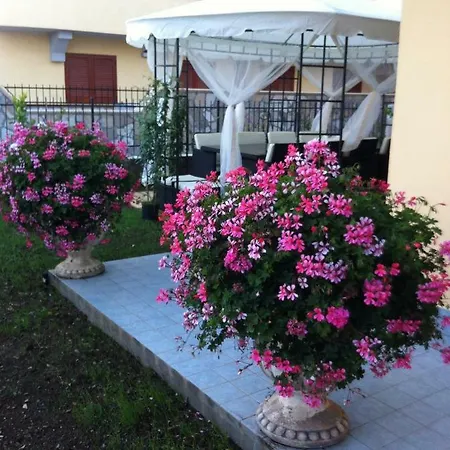 Dei Cedri Bed and Breakfast Scalea