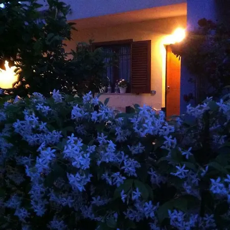Dei Cedri Scalea