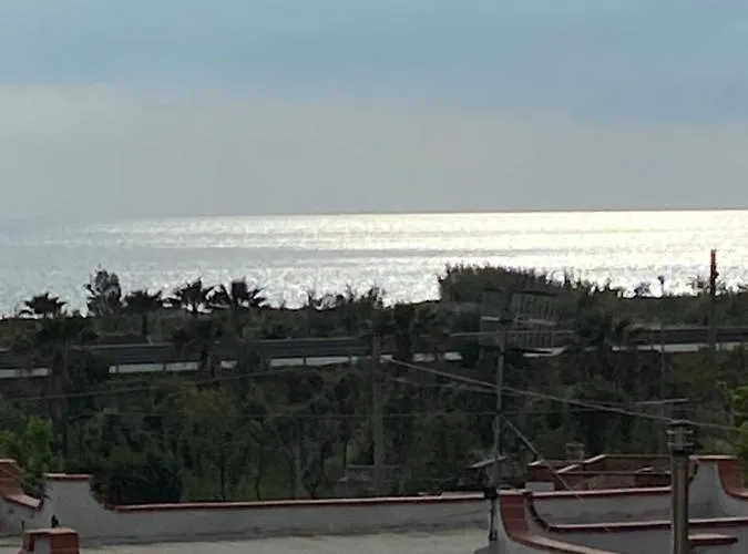 Dei Cedri 斯卡莱阿