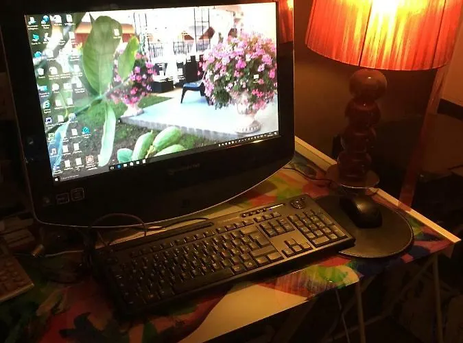 住宿加早餐酒店 Dei Cedri 斯卡莱阿